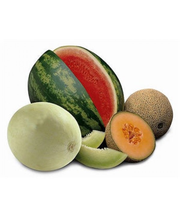 The Last E-Liquid Company - LEC - Cangolya Melon