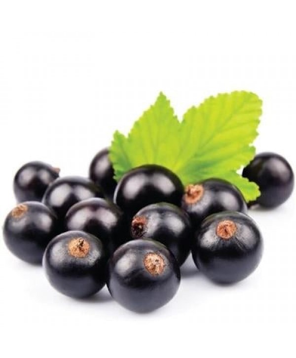 Flavour Art - Black Currant